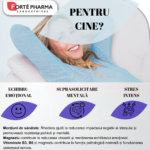 FORTE ZEN STRESS 12h