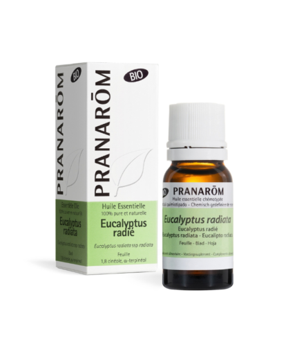Ulei esențial Eucalipt Radiata BIO x 10ml Pranarom
