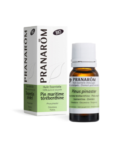 Ulei esențial Pin Maritim BIO x 10ml Pranarom